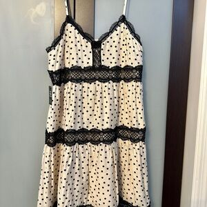 Express Cream and Black Lace Polka Dot Mini Dress